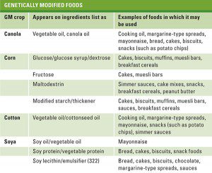 GM-Food-table